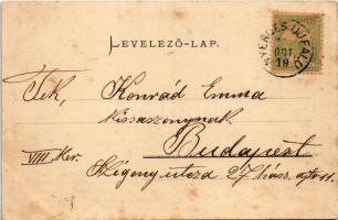 1904 Nyergesújfalu, Nyerges-Újfalu; látkép, emlékmű, templom. Kardos Dezső felvétele és kiadása (fl)