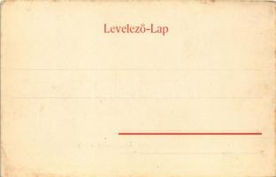 Eger, Kisnánai várrom. Baross nyomda (fl)