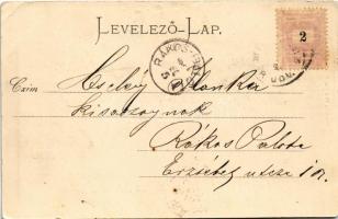 1899 (Vorläufer) Miskolc, Hámori tó. Lövy József fia kiadása (tűnyomok / pin marks)