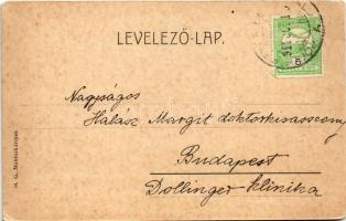 1914 Leányfalu, Gőzhajóállomás. H. G. Művészkártyák (EK)