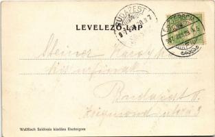 1907 Esztergom, látkép. Wallfisch Szidónia kiadása (EK)