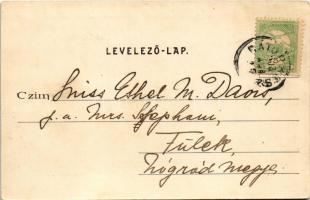 1903 Esztergom, látkép, híd. Kardos Dezső kiadása (EK)