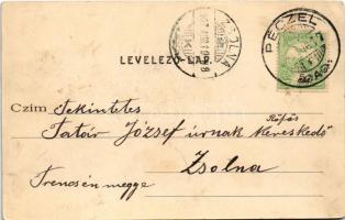 1907 Pécel, Péczel; vasútállomás. Határ János kiadása (EK)