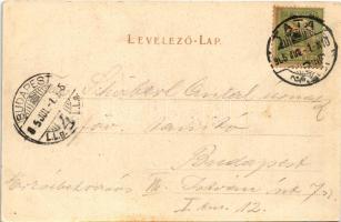 1905 Tata, Tata-Tóváros; Angolpark, Török mecset. Nobel Adolf kiadása (fl)