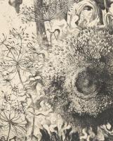 Hertay Mária (1932-2018): Napraforgó. Rézkarc, papír, jelzett, üvegezett keretben 70x22 cm