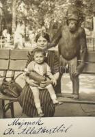 Állatokat ábrázoló vegyes régi és modern fotók, 40 db