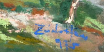 Zádor. jelzéssel: Balaton strand. Pasztell, papír .Jelzett, üvegezett keretben 26x28 cm