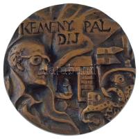 2013. Kemény Pál-díj / 1913-2013 Kemény Pál gyermekorvos születésének 100. évfordulójára készült kétoldalas, öntött bronz plakett, nem eredeti dísztokban (91mm) T:AU