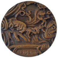 2013. "Kemény Pál-díj / 1913-2013" Kemény Pál gyermekorvos születésének 100. évfordulójára...