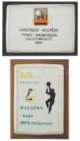 1971. "XIV. Nemzetközi NIKE Balaton-kupa 1971. Fűzfőgyártelep" porcelán plakett fa posztamensen (79x112mm) + 1974. "Országos Vegyész Tenisz Bajnokság Balatonfűzfő 1974" porcelán plakett farost posztamensen (114x79mm) T:AU