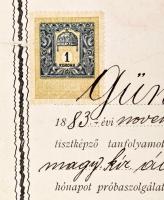 1904 Bp., képesítő bizonyítvány vasúti tisztképző tanfolyam elvégzéséről, Günther Árpád részére, via...