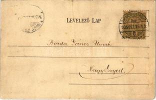 1905 Balassagyarmat, Fő utca, Városháza, Frischer Ignác, Aninger Gyula üzlete. Wertheimer Zsigmond k...