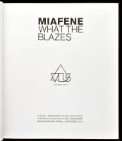 Wehner Tibor, Bodonyi Emőke (szerk.): Mi a fene. 40 éves a Szentendrei Vajda Lajos Stúdió. Szentendr...