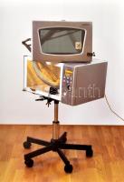 Wehner Tibor, Bodonyi Emőke (szerk.): Mi a fene. 40 éves a Szentendrei Vajda Lajos Stúdió. Szentendr...