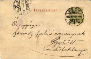 1902 Pécs, Pécsi kerékpár versenypálya, Dr. Löwy féle palota, Tettyei út. Kiadja Günsberger Lajos. A...