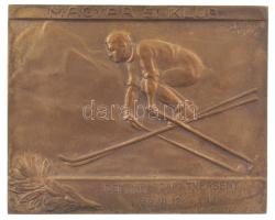 Sződy Szilárd (1878-1939) 1929. &quot;Magyar Sí Klub&quot; bronz díjplakett &quot;DELMÁR CSAPATVERSENY 1939.III.12. I. DIJ&quot; gravírozással, hátlapon &quot;LUDVIG BP&quot; gyártói jelzéssel (57x70mm) T:XF