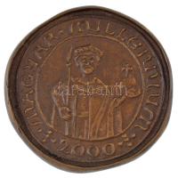 Asszonyi Tamás (1942-) 2000. Magyar Millennium kétoldalas bronz emlékérem tájékoztatóval (~53mm) T:UNC