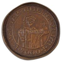 Asszonyi Tamás (1942-) 2000. &quot;Magyar Millennium&quot; kétoldalas bronz emlékérem tájékoztatóval (~53mm) T:UNC