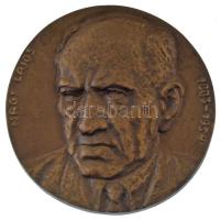 Domonkos Béla (1934-) DN Nagy Lajos 1883-1954 egyoldalas öntött bronz emlékplakett (~105mm) T:AU