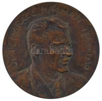 ~1980. Dr. Pongrácz Kálmán egyoldalas bronz plakett (103mm) T:AU