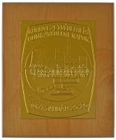 1977. Környezetvédelmi és Munkavédelmi Napok - Gagarin Hőerőmű - Thorez külfejtés fém lemezplakett fa talpon (150x120mm) T:AU