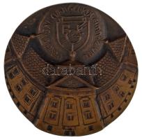 DN &quot;Békéscsabai Evangélikus Gimnázium&quot; egyoldalas bronz plakett (100mm) T:AU