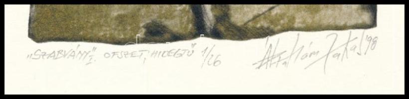 Ábrahám Jakab (1952-): Szabvány, 1998. Ofszet, hidegtű, papír, jelzett, számozott: 1/26, 15x10 cm