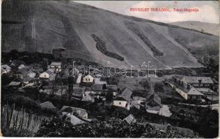 Tokaj, Tokaj-Hegyalja látképe, szőlőhegyek. Kiadja Klein Márkus (Rb)