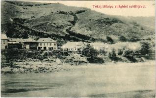 1916 Tokaj látképe a világhírű szőlőjével, szőlőhegy. Helm Sámuel kiadása (EB)