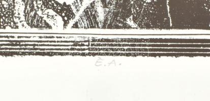 Ábrahám Rafael (1929-2014): Medicina. Litográfia, papír, jelzett, művészpéldány E.A. jelzéssel, 35x4...