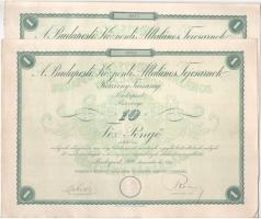 Budapest 1926. "Budapesti Központi Általános Tejcsarnok Részvénytársaság" részvénye 10P-ről szelvényekkel, szárazpecséttel (2x) sorszámkövetők T:AU