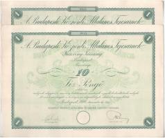 1926. Budapest "Budapesti Központi Általános Tejcsarnok Részvénytársaság" részvénye 10P-ről szelvényekkel, szárazpecséttel (2x) sorszámkövetők T:AU