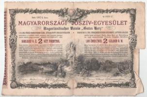 Budapest 1888. "Magyarországi Jószív-Egyesület" sorsjegykölcsön 2Ft-ról, szárazpecséttel, bélyegzéssel T:F szakadás