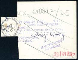 1968 Szűcs Lajos olimpiai bajnok labdarúgó, sajtófotó, a hátoldalon feliratozott, pecséttel jelzett,...