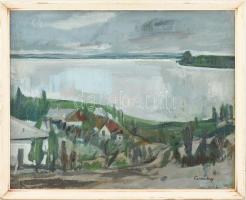 Czinkotay Frigyes (1932-2018): Őszi Balaton. Olaj, fa, jelzett, hátoldalán a művész autográf feliratával. Fakeretben, 40x50 cm