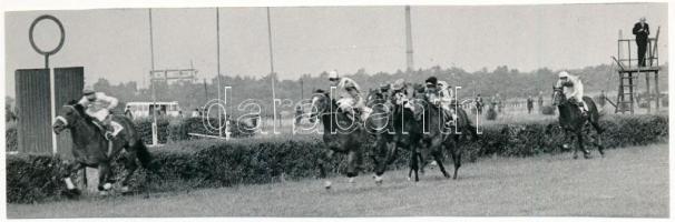 1971 Derby, sajtófotó, a hátoldalon feliratozott, pecséttel jelzett, körbevágott, 18x6 cm