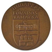 Pátzay Pál (1896-1979) DN Budapest Főváros Tanácsa bronz emlékérem, hátoldalán az 1802-ben alapított első magyar múzeum (Magyar Nemzeti Múzeum) klasszicista épületének homlokzatával (70mm) T:AU