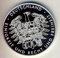 Németország DN "Futball világbajnok Németországban" Ag 20,3g multicolor emlékérem T:PP