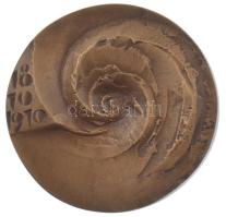 1970. 100 éves a Magyar Meteorológiai Szolgálat 1870-1970 kétoldalas bronz emlékplakett (~90mm) T:UNC
