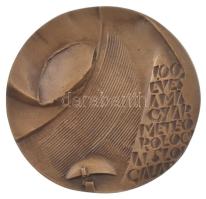 1970. "100 éves a Magyar Meteorológiai Szolgálat 1870-1970" kétoldalas bronz emlékplakett ...