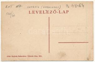 Algyógy, Geoagiu; M. Kir. Állami Vasgyári szanatóriuma. Adler fényirda Szászváros 1911. / sanatorium...