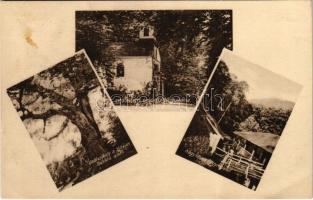 1942 Erdőbénye -gyógyfürdő, Vadlesőhely a 250 éves bükkfa alatt, kápolna, Nagyköves hegyrészlet. Mautlinger Miklós (EB)