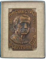 Rajki László (1939-) 1994. "Magyar Gyula Alapítvány / Nemesítői Nagydíj Budapest" bronz díjplakett eredeti tokban (79x119mm) T:AU