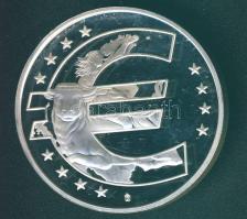 San Marino 2002. "Az Euro bevezetése" Ag 30,5g bicolor emlékérem T:PP