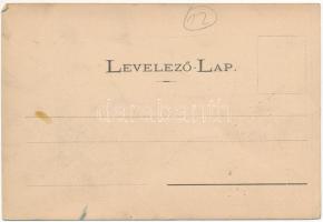 Bálványosfürdő, Baile Balvanyos (Torja, Turia); főépület. Divald Károly fia / spa hotel (EK)