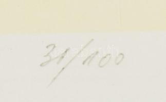 Ábrahám Rafael (1929-2014): Orrszarvúk tánca. Szitanyomat, papír, jelzett, számozott (31/100), 33×49...