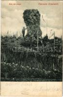 1905 Dömös, Béla vár romja. Kiadja Lengyel Rudolf (fl)