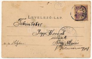 Belényes, Beius; leány internátus. Sonnenfeld A. kiadása / girl borading school (EK)