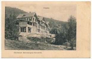 Bálványosfürdő, Baile Balvanyos (Torja, Turia); főépület. Divald / spa hotel