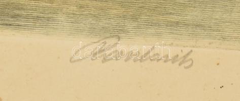 Paulovits Pál (1892-1975): Alkonyat (vadászat). Színezett rézkarc, papír, jelzett, lap széle foltos,...